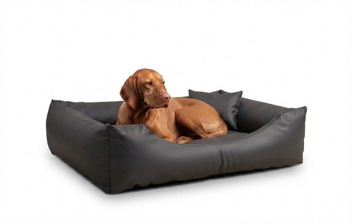 Hundebett hundesofa - ,