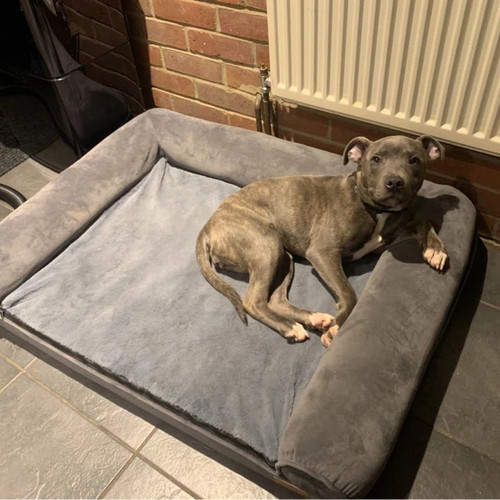 Orthopädisches hundebett - orthopädisches,